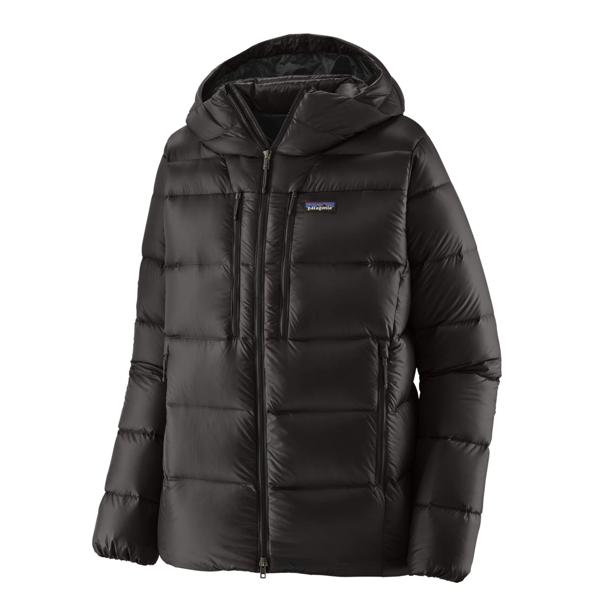 Patagonia Fitz Roy Down Hoody - Men's - Black