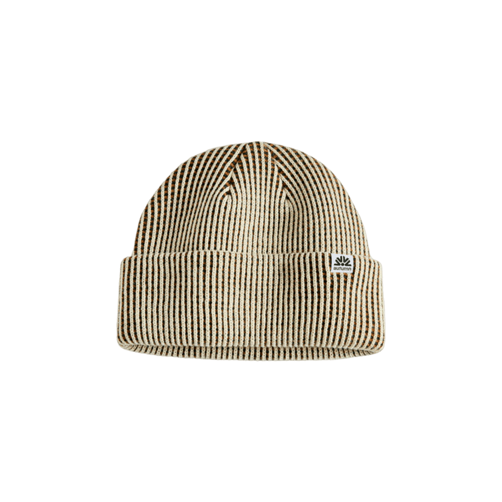 Autumn Static Beanie