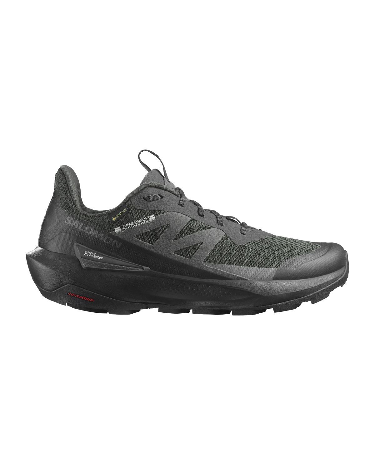 Salomon Elixir Activ GORE-TEX Men's Hiking Shoes