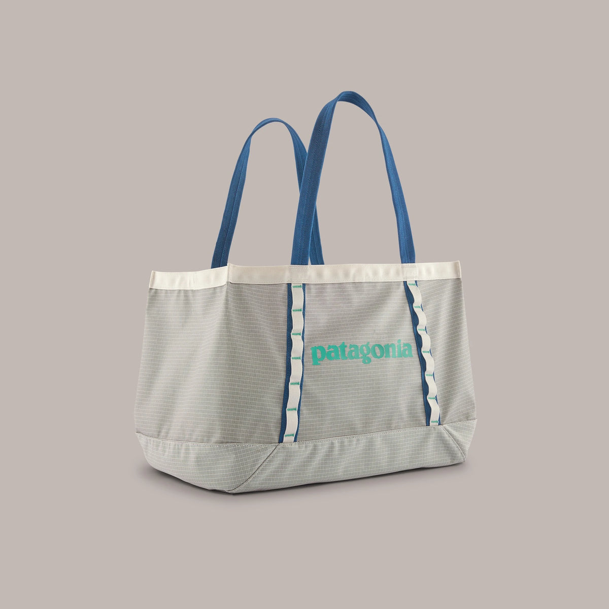 Patagonia Black Hole Tote 25L - BIRCH WHITE