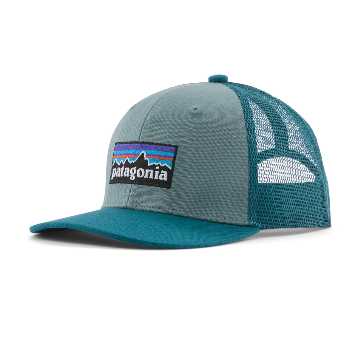 66032 P-6 LOGO: BLUE SAGE