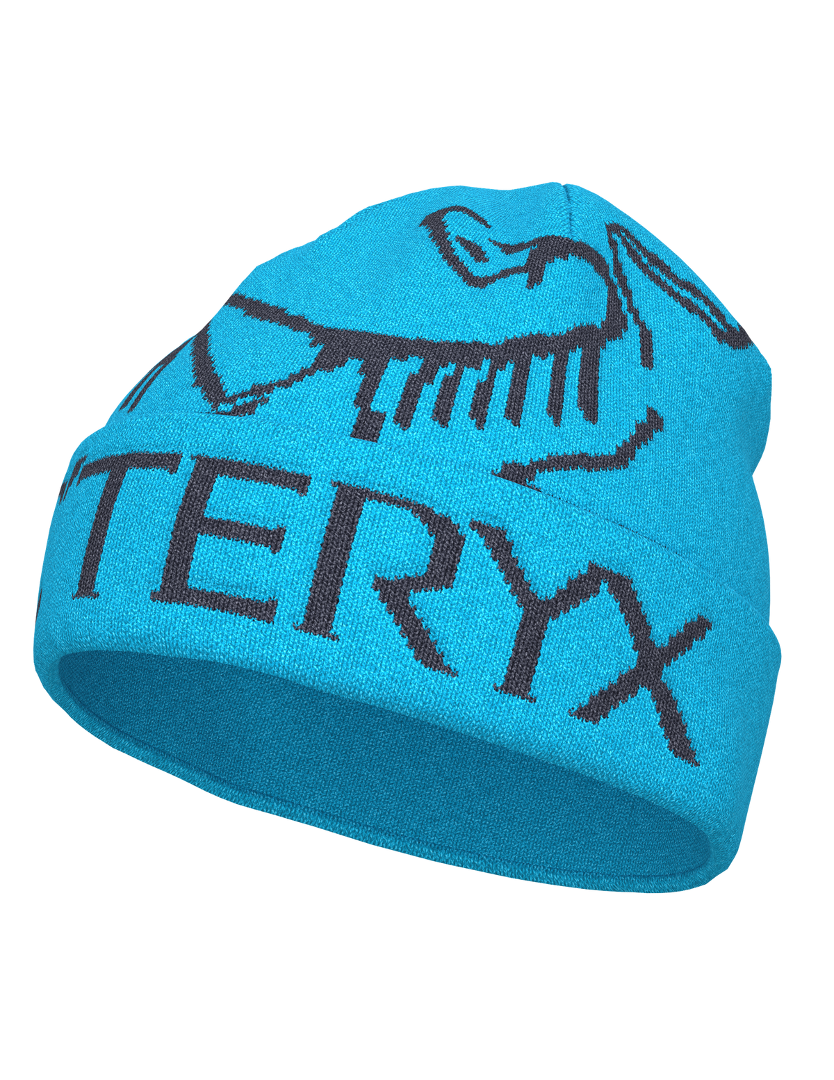 Arc'teryx Bird Word Toque - AQUACULTURE / BLACK SAPPHIRE