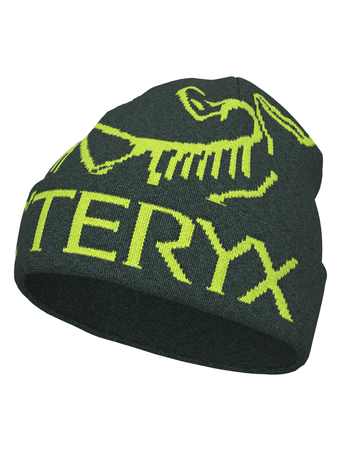 Arc'teryx Bird Word Toque - DARK JADE / MANTIS