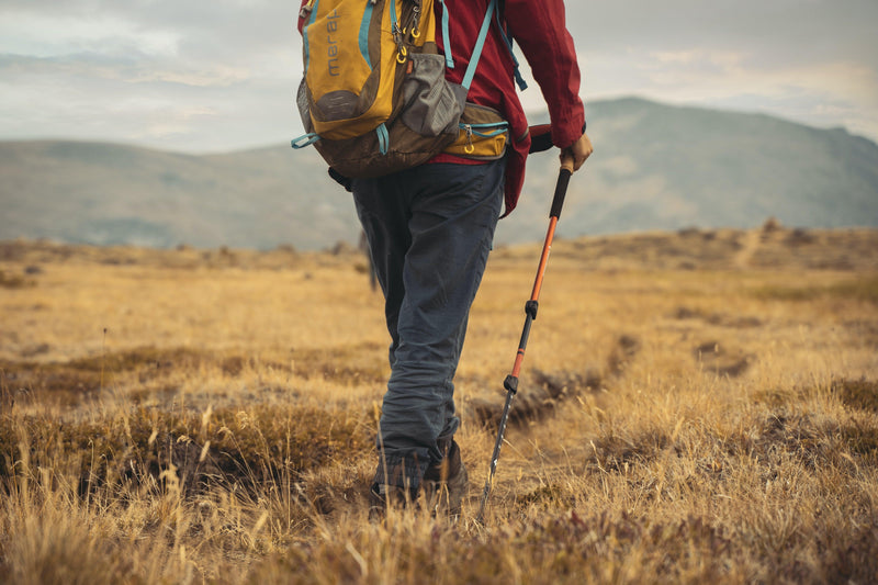 How to Choose Trekking Poles and Hiking Staffs - Ridge & River