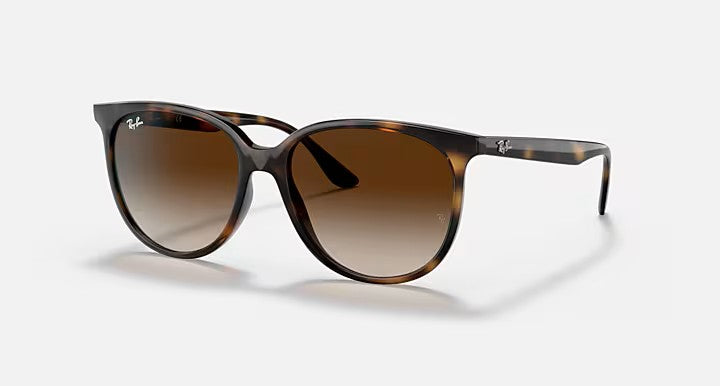 Ray-Ban RB4378 Sunglasses