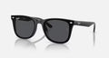 Ray-Ban RB4420 Sunglasses