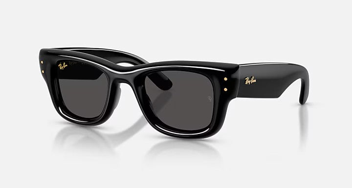 Ray-Ban Wayfarer Puffer Sunglasses