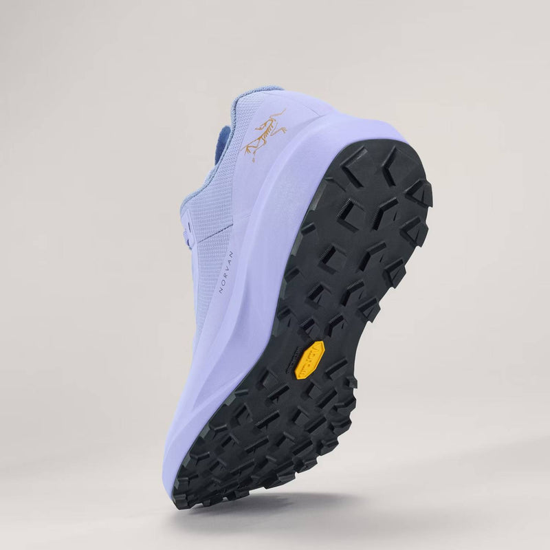Arc'teryx Norvan LD 4 GTX W Arctic Silk/Arctic Silk 6
