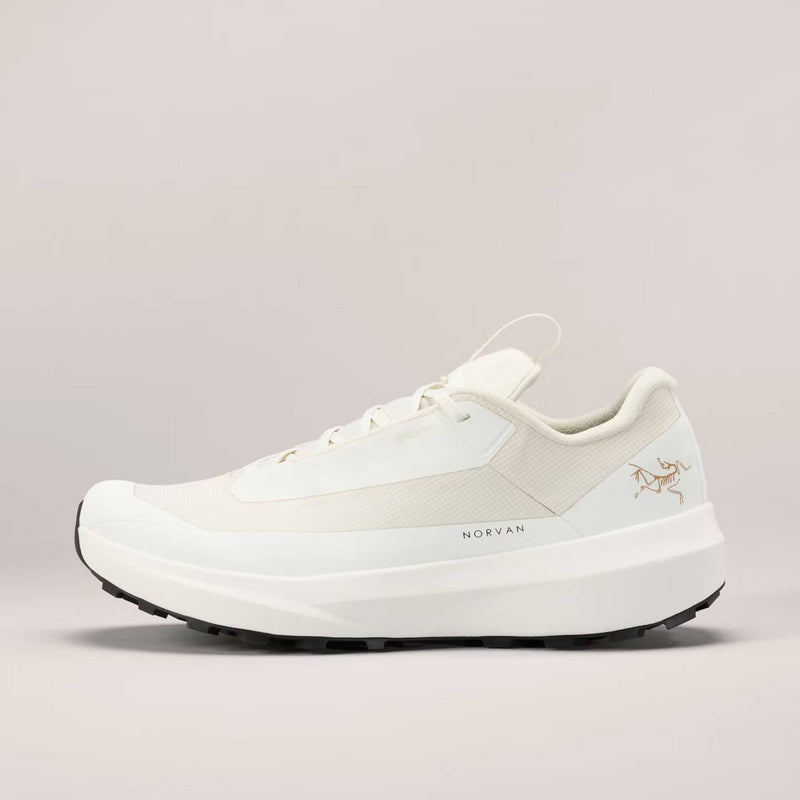 Arc'teryx Norvan LD 4 GTX W Arctic Silk/Arctic Silk 6