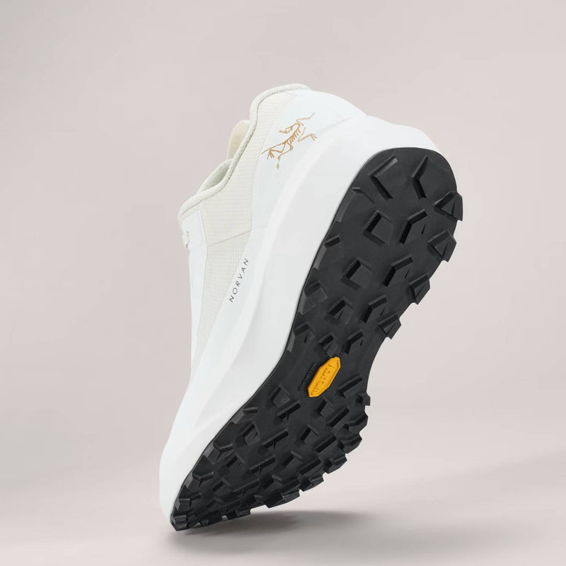 Arc'teryx Norvan LD 4 GTX W Arctic Silk/Arctic Silk 6