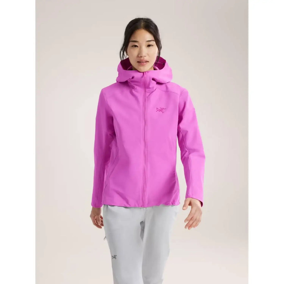 Arc'teryx Gamma Hoody - Women's | Ridge & River