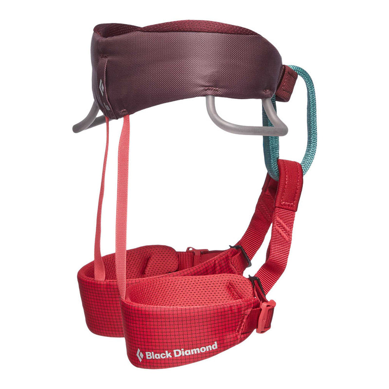 Black Diamond Kids' Momentum Climbing Harness – Comfortable and Adjustable Harness for Young Climbers