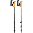 Leki Lhasa Trekking Poles Lightweight with Universal Carbide Flex Tip - Pair