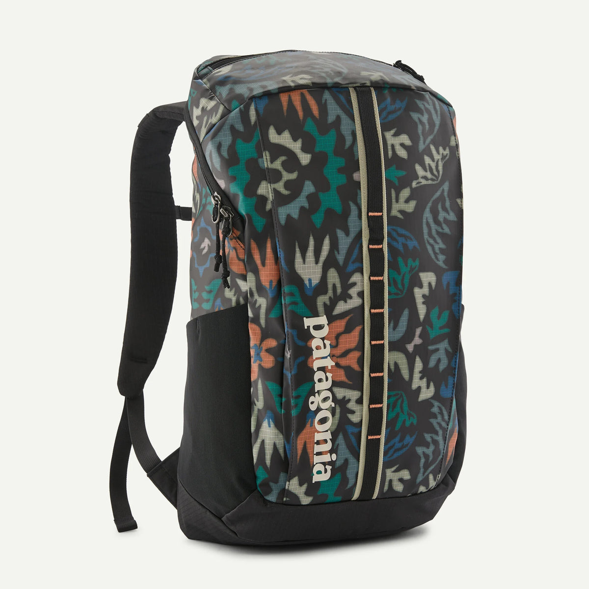 Patagonia Black Hole Pack 25L – Durable Weather-Resistant Everyday Backpack