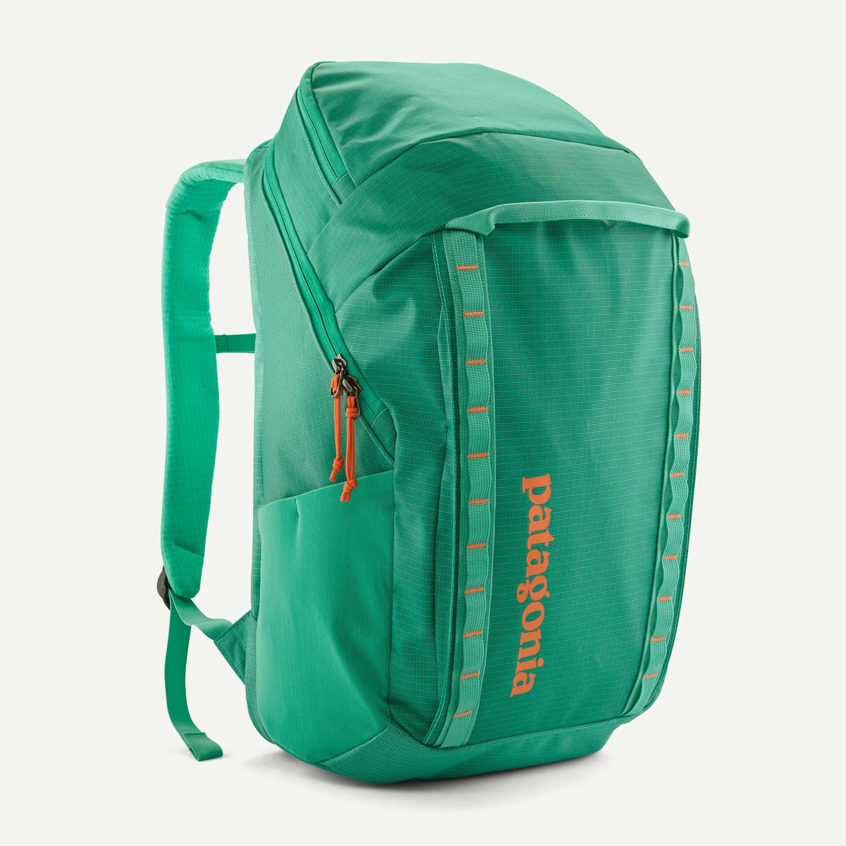 Patagonia Black Hole 32L Weather-Resistant Backpack