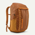 Patagonia Black Hole 32L Weather-Resistant Backpack