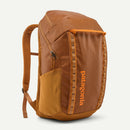 Patagonia Black Hole 32L Weather-Resistant Backpack