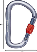 Black Diamond RockLock Triple Lock Carabiner - Heavy-Duty Locking Carabiner for Belaying, Rappelling, and Anchors