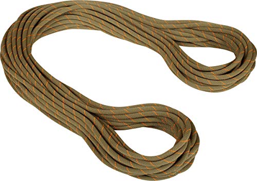 Mammut 9.9 Gym Workhorse Classic Rope