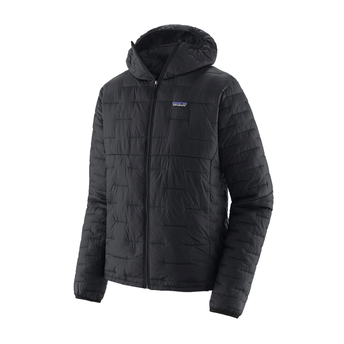 Patagonia Micro Puff Hoody - BLACK