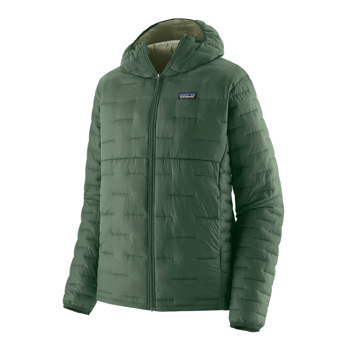 Patagonia Micro Puff Hoody - CANOPY GREEN