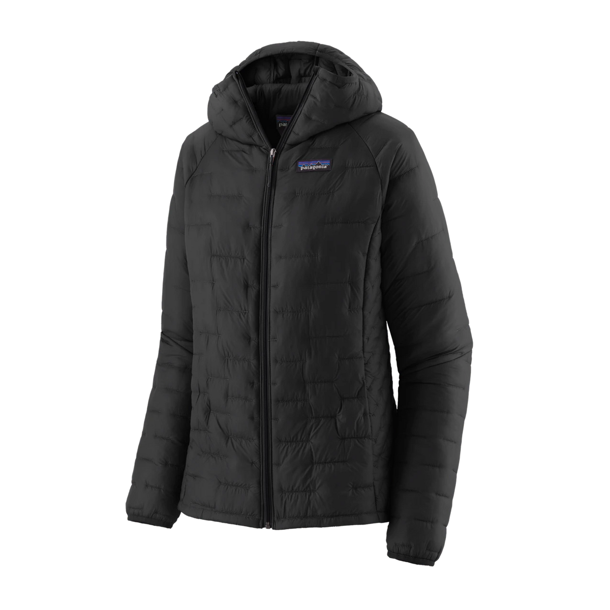 Patagonia Micro Puff Hoody - BLACK