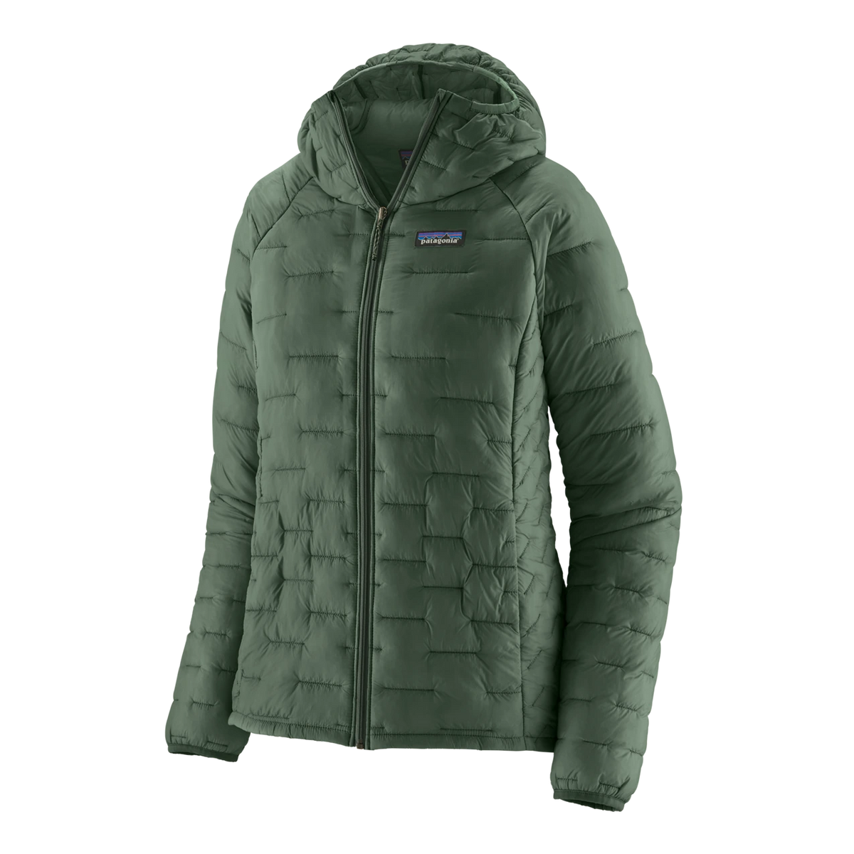 Patagonia Micro Puff Hoody - CANOPY GREEN