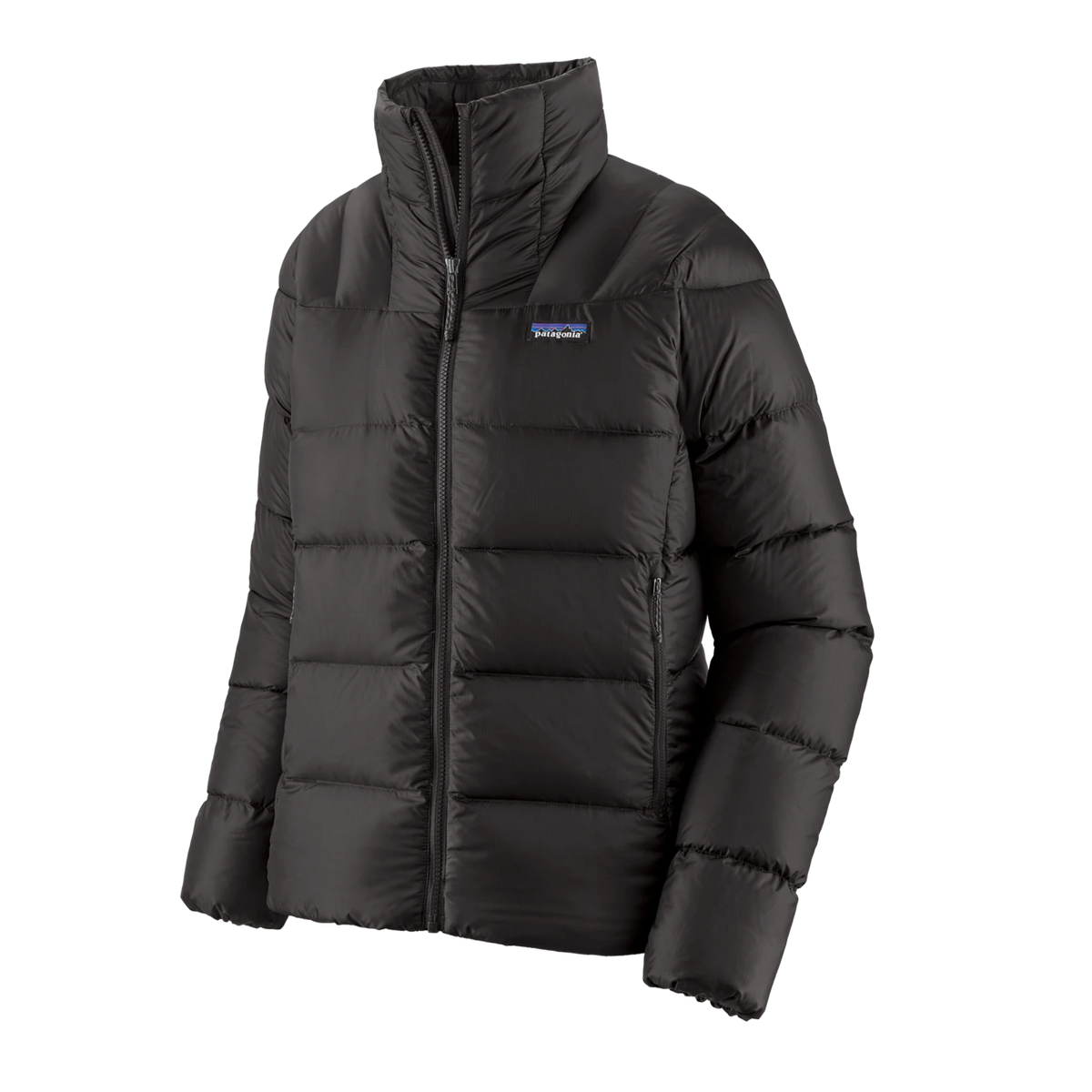 Patagonia Fitz Roy Down Jacket - Women's - Black