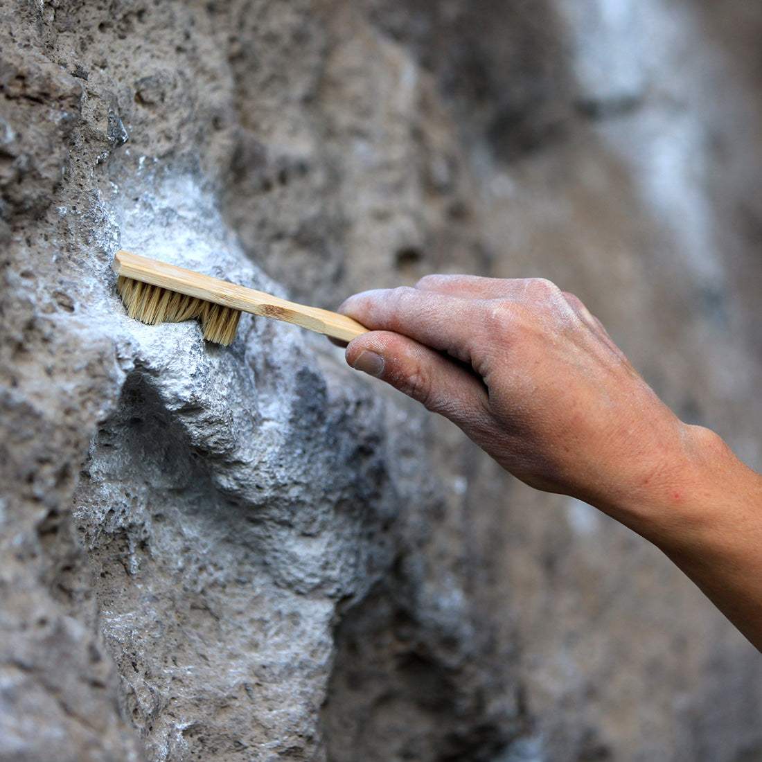 Bamboo Boar Hair Brush: Sustainable Cleaning Power for Climbing Holds