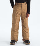 The North Face Freedom Insulated Pant - Boys'