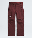 The North Face Freedom Pants - Men’s Waterproof, Breathable Snow Pants with DryVent™ 2L Shell and Reinforced Kickpatches