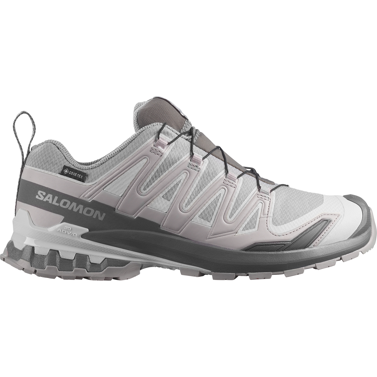 Salomon XA Pro 3D V9 GORE-TEX men's trail running shoe in Alloy/Castlerock/Lunar Rock