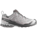 Salomon XA Pro 3D V9 GORE-TEX men's trail running shoe in Alloy/Castlerock/Lunar Rock