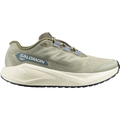 Salomon Aero Blaze 3 GRVL men's gravel running shoe in TEA/VANILLA ICE/DEEP LICHEN GREEN
