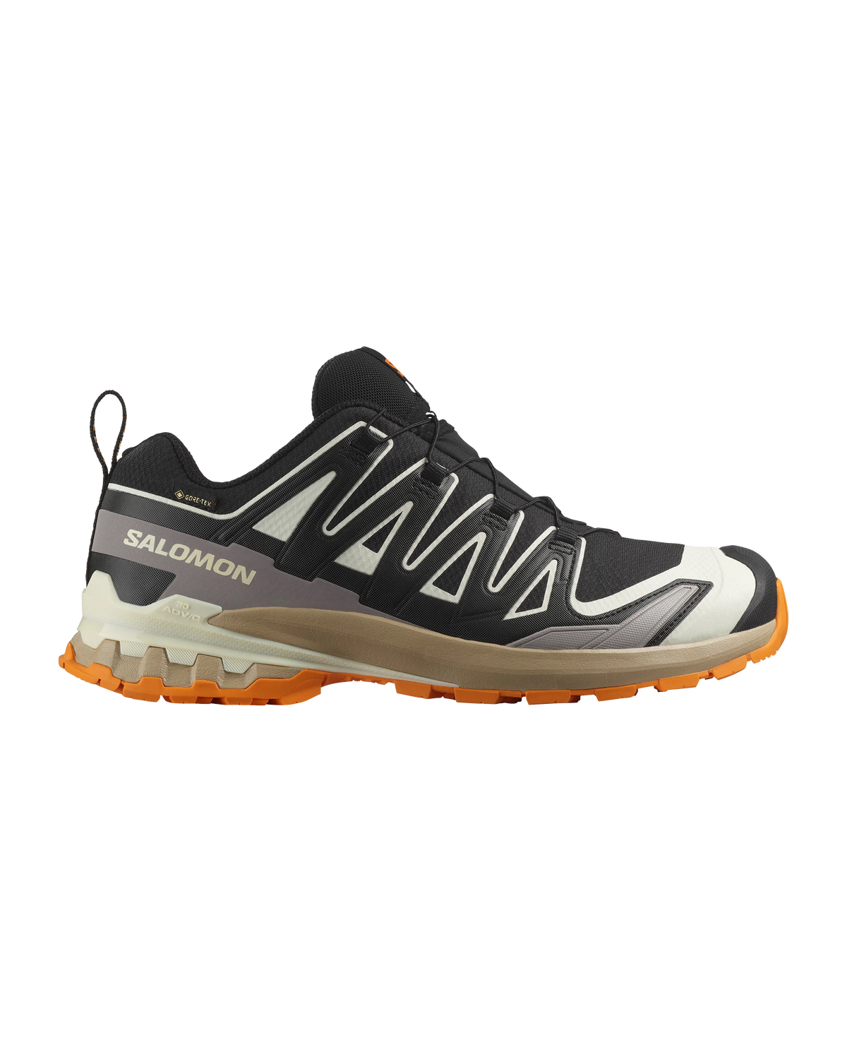 Salomon XA Pro 3D V9 GORE-TEX Men's Trail Running Shoes