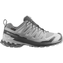 Salomon XA Pro 3D V9 GORE-TEX women's trail running shoe in Alloy/Castlerock/Lunar Rock