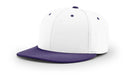 Richardson PTS20 Hat Baseball Cap Pulse Performance Team Hat - YOUTH, XS/SM, SM/MD, LG/XL