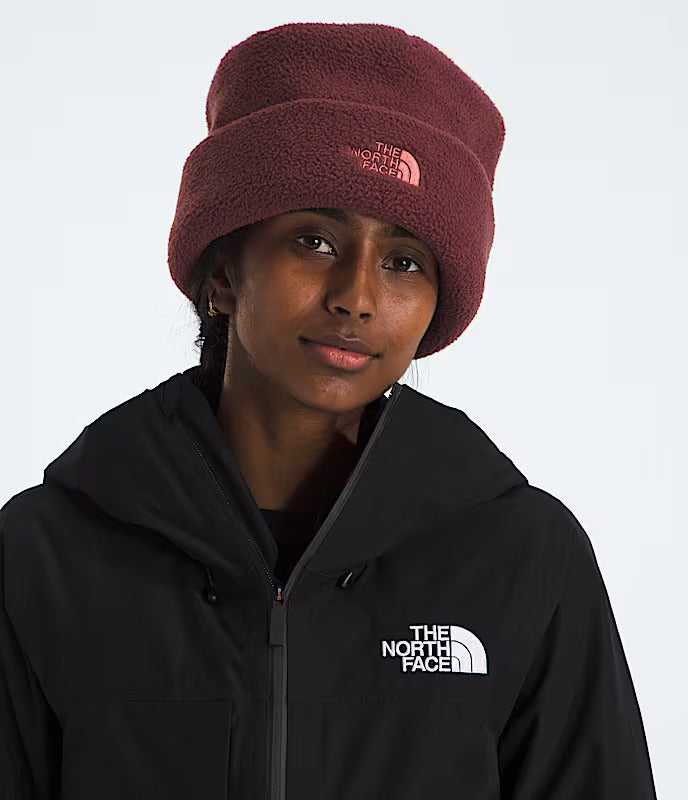 帽子 THE NORTH FACE insulated powder beanie The North Face Whimzy Powder Beanie | Warm Knit Winter Hat with