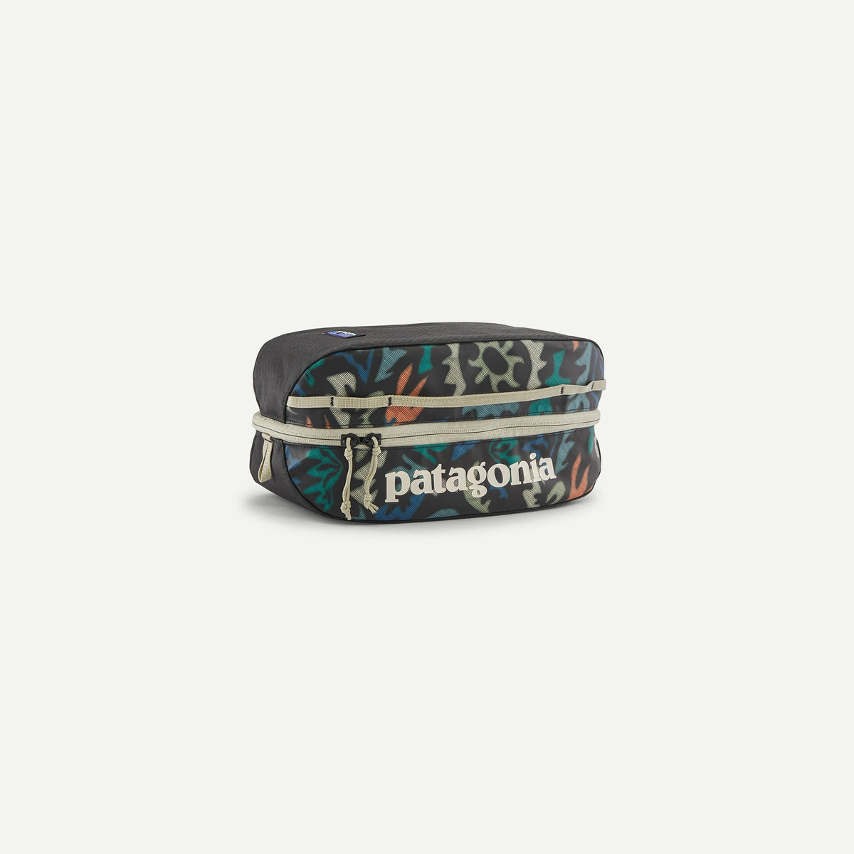 Patagonia Black Hole Packing Cube 6L - KALEIDO BLACK