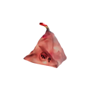 Big Agnes mtnGLO Tent & Camp Lights – LED Light Strand with Lantern Case – Red, White, or Blue/Green