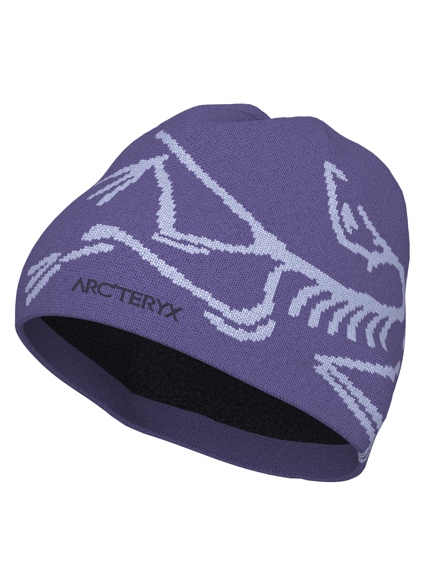 Arc'teryx Bird Head Toque | Ridge & River