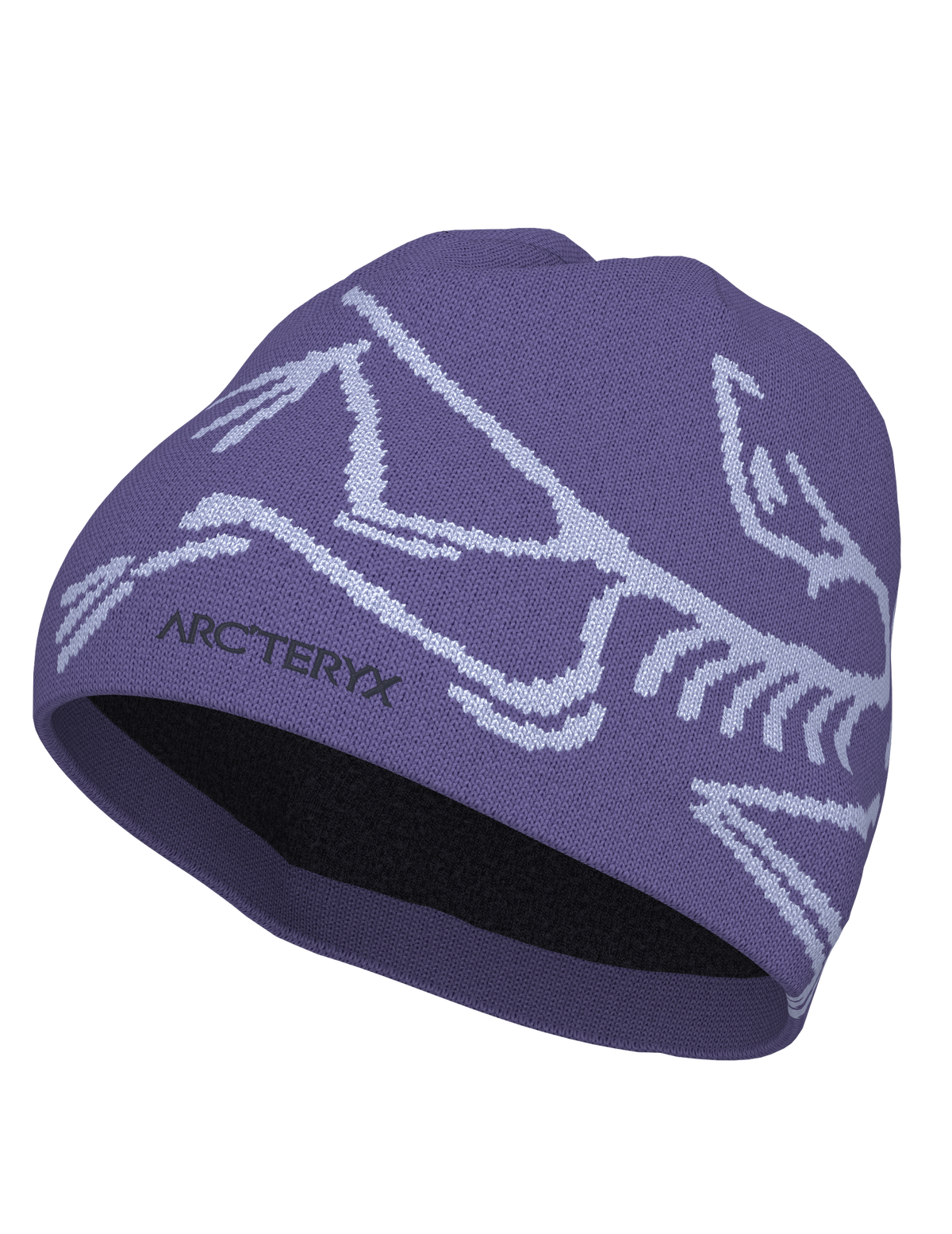 Arc'teryx Bird Head Toque