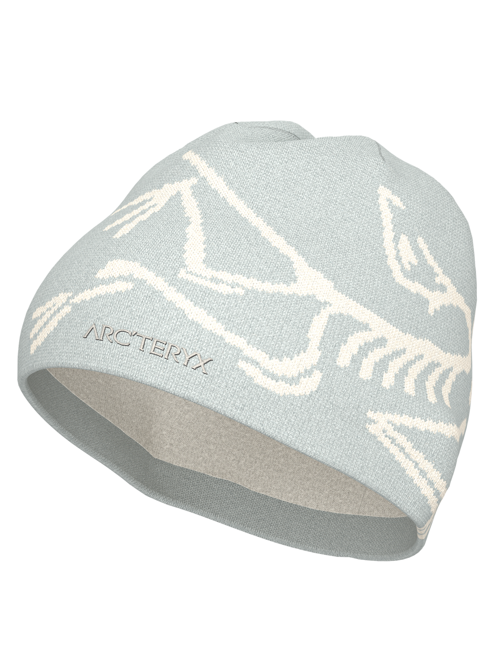 Arc'teryx Bird Head Toque | Ridge & River Arc'teryx Bird Head Toque | Ridge & River