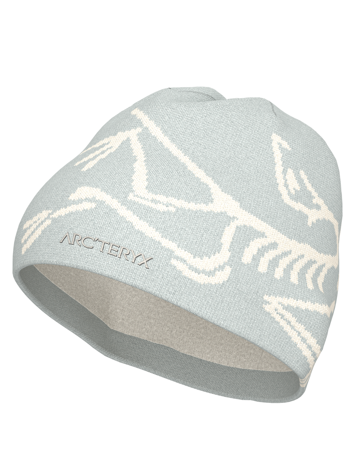 Arc'teryx Bird Head Toque | Ridge & River