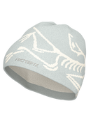 Arc’teryx Bird Head Toque