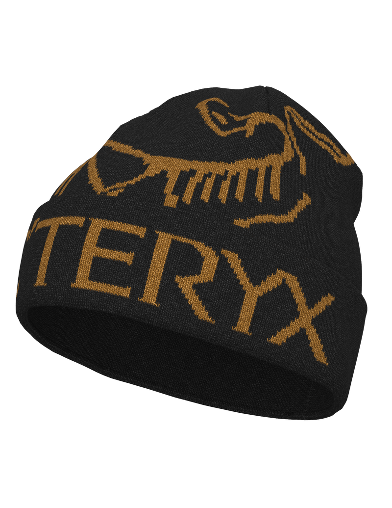 Arc'teryx Bird Word Toque - Versatile Recycled Polyester Hat for