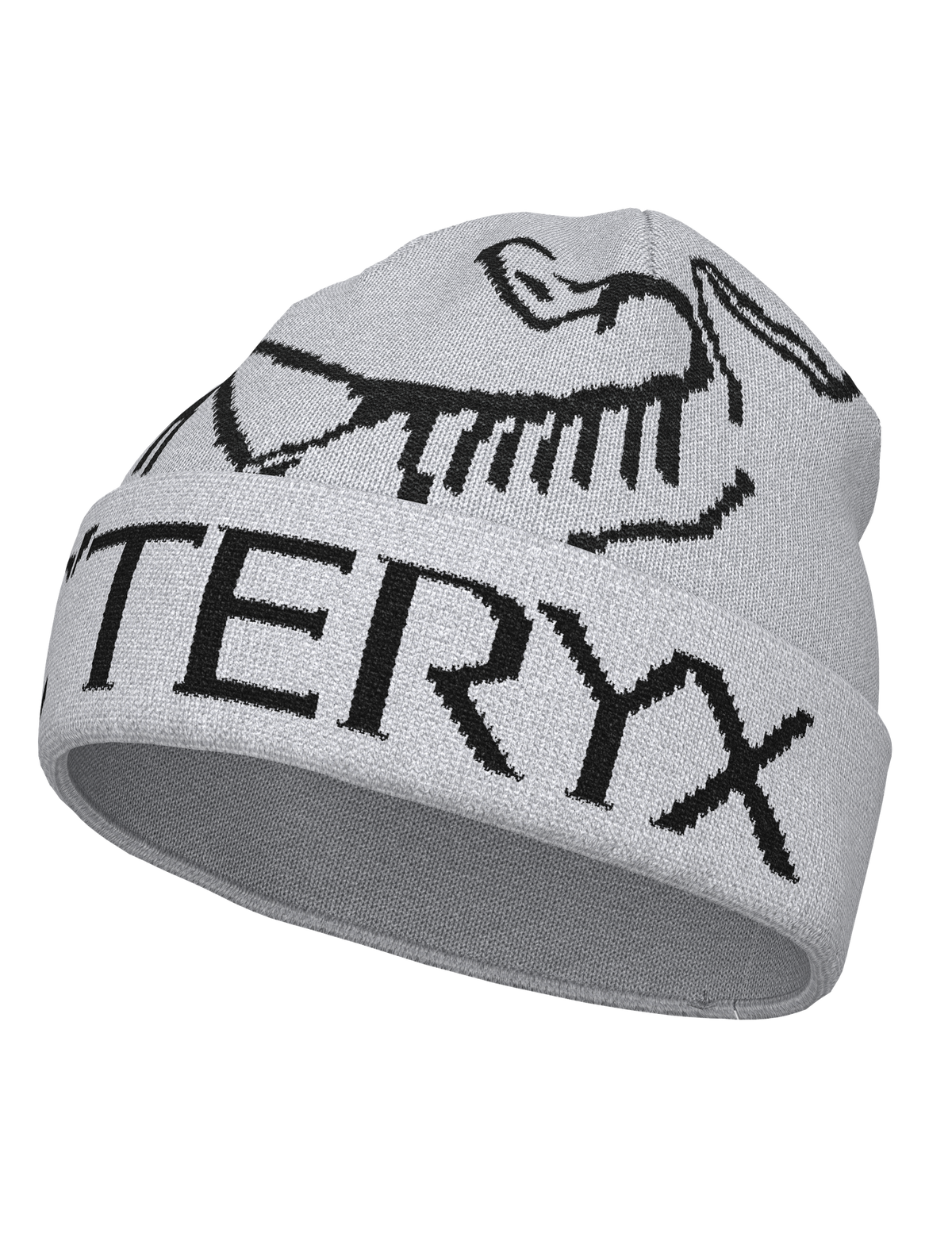 Arc'teryx Bird Word Toque