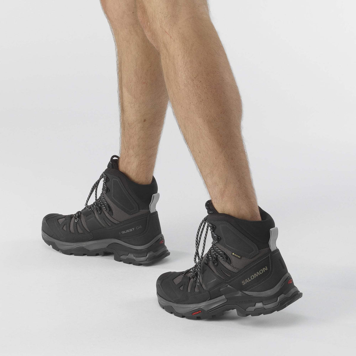 Salomon Quest 4 GTX Men display picture 1